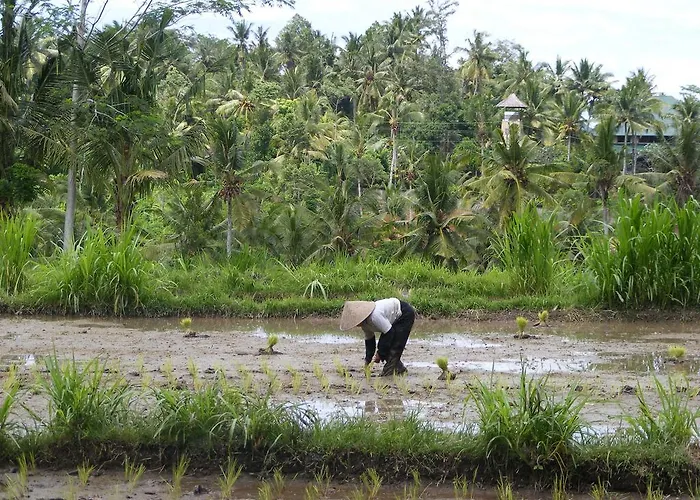 Wahyu Dewata パヤンガン